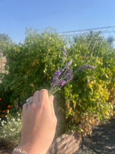Load image into Gallery viewer, Dried Lavender